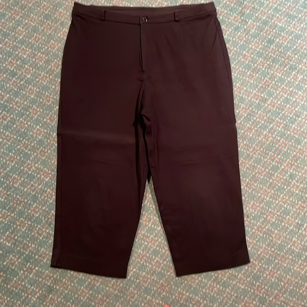 Briggs New York Stretch Capris